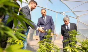 CETEPRO CANNABIS