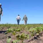 CHACO: ACREDITARON LOS FONDOS PARA LA SIEMBRA DE ALGODON.