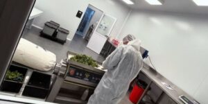 cannabis-flores-750x375
