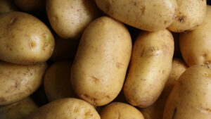 PAPAS CONICET