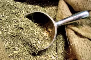 YERBA