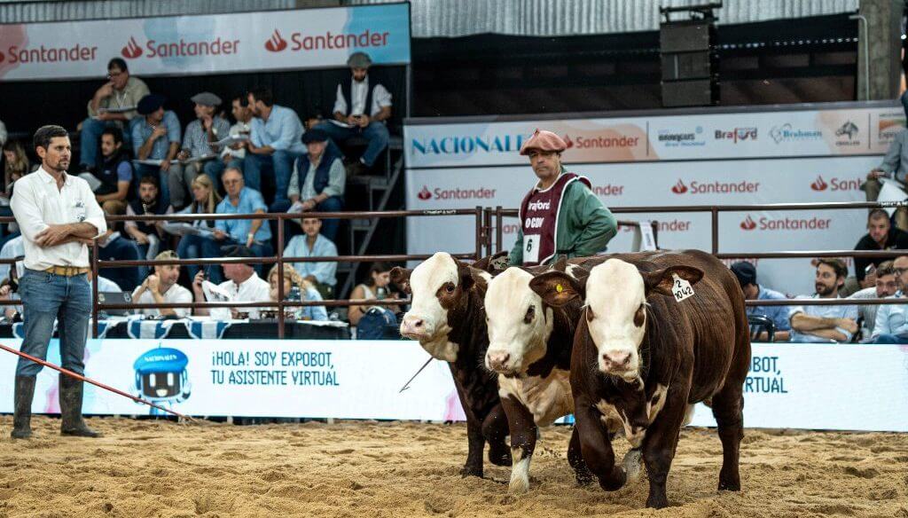 LAS NACIONALES BRAFORD