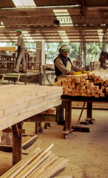 MADERA