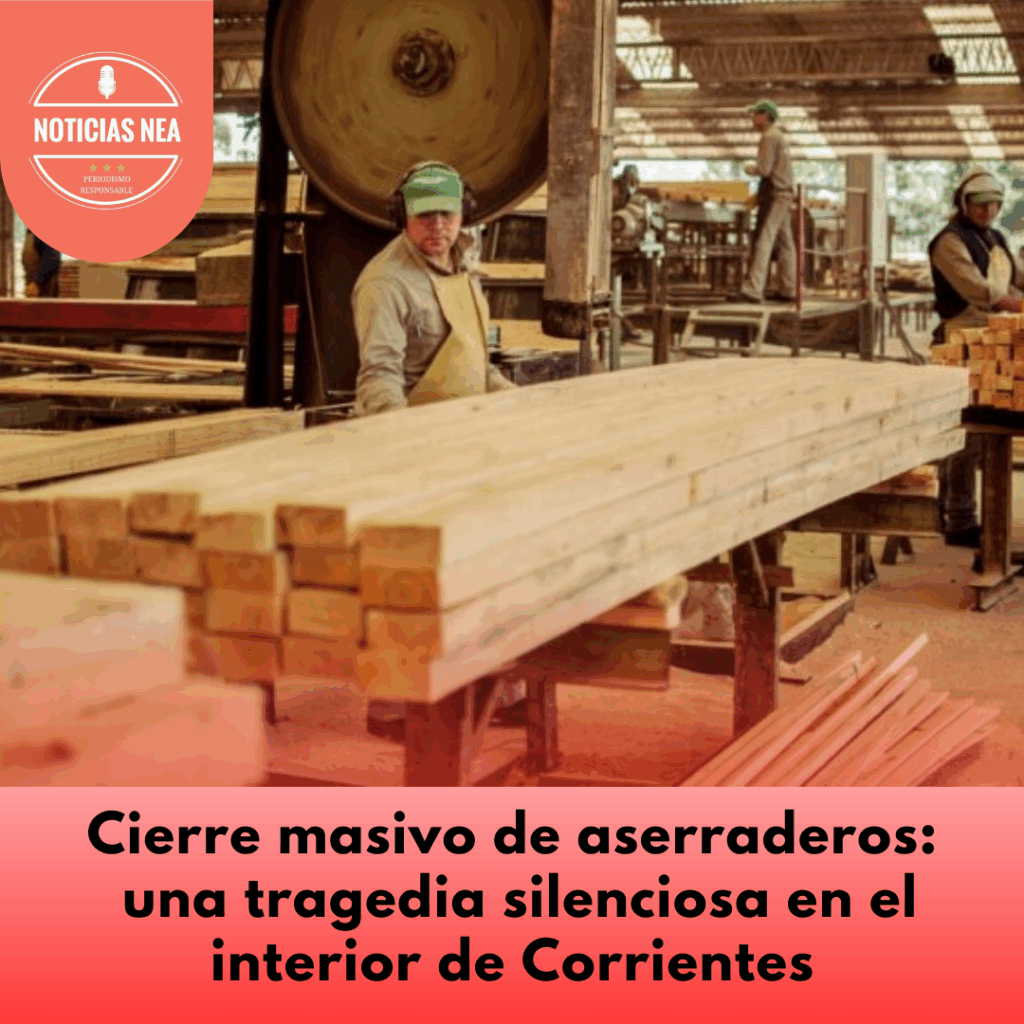 NEA-plantilla-2025