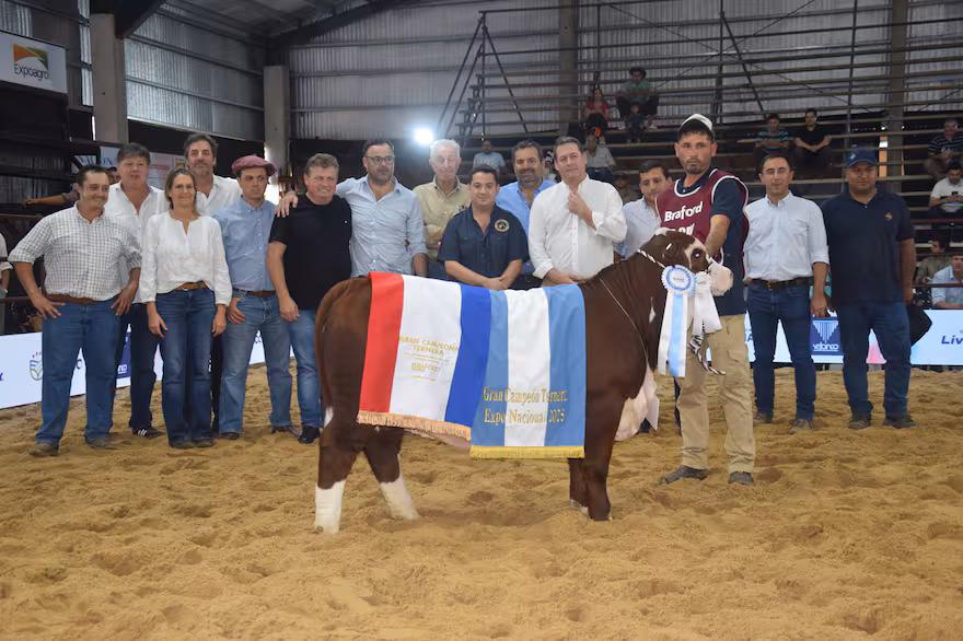 la-gran-campeon-ternera-CAMPEON BRAFORD