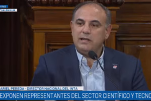 ariel-pereda-director-