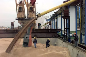 la-exportacion-de-granos-trab