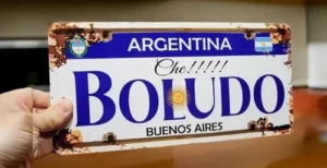 CHE BOLUDOS