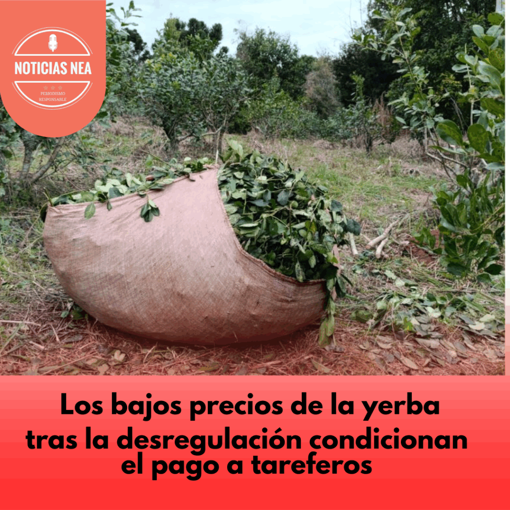 tareferos
