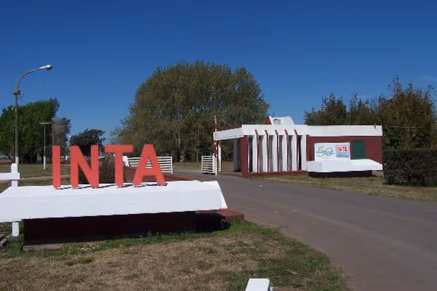 INTA
