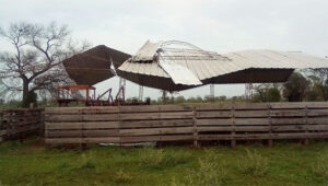 CHACO VIENTO