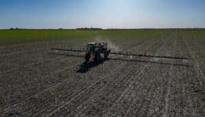 FITOSANITARIOS
