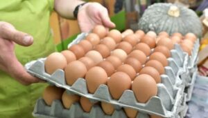 HUEVOS