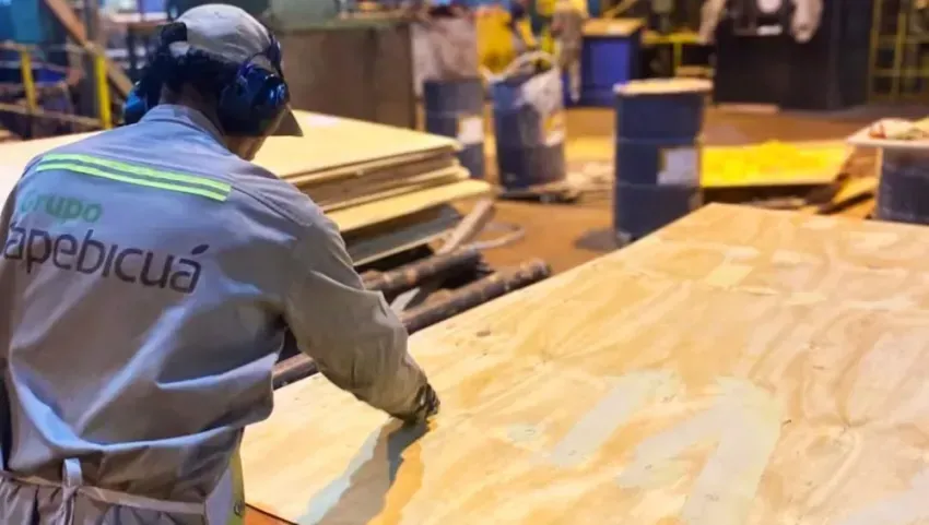 TAPEBICUA