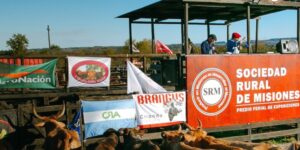 remate-misiones-