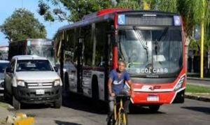 COLECTIVOS
