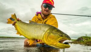 DORADO