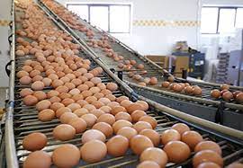 HUEVOS