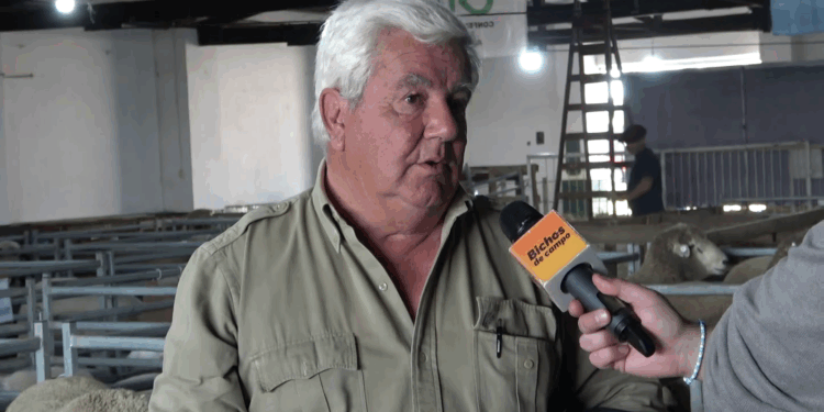 LUCIO ASPIAZU