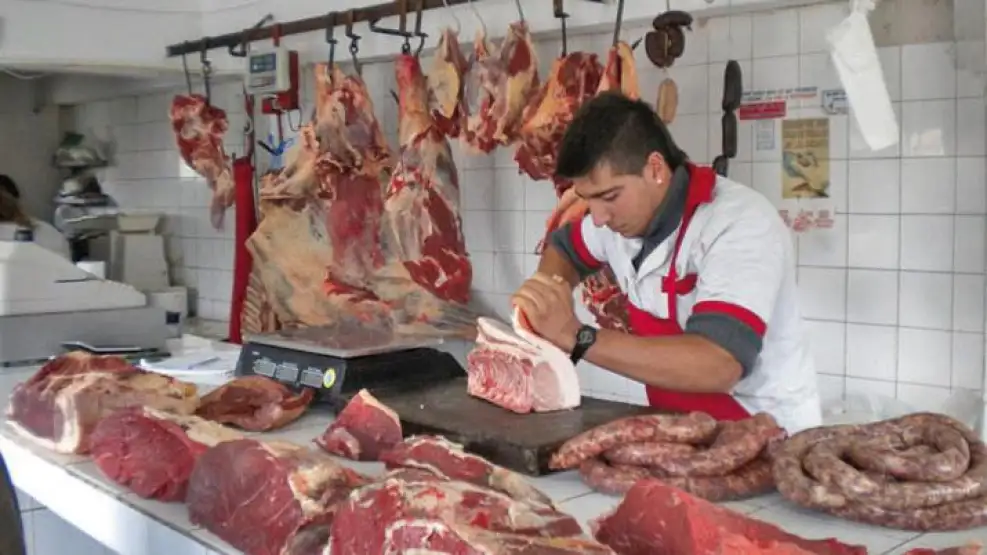 AUMENTO DE LA CARNE