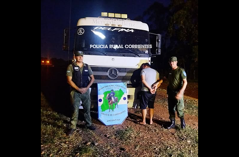 robo de ganado