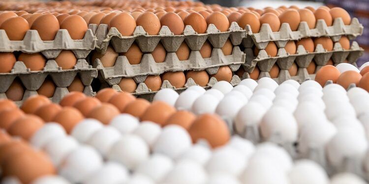HUEVOS