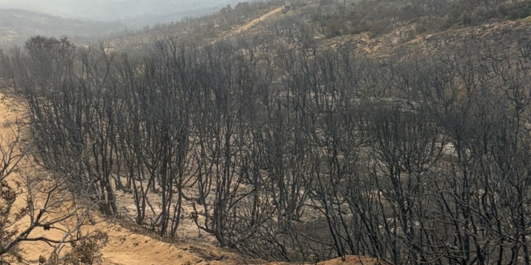FUEGO ESQUEL
