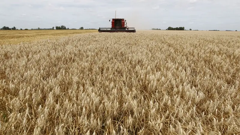 AGROOOOOO