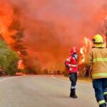 MAS DE 10.000 INCENDIOS POR AÑO Y FUERTE IMPACTO ECONOMICO EN EL AGRO