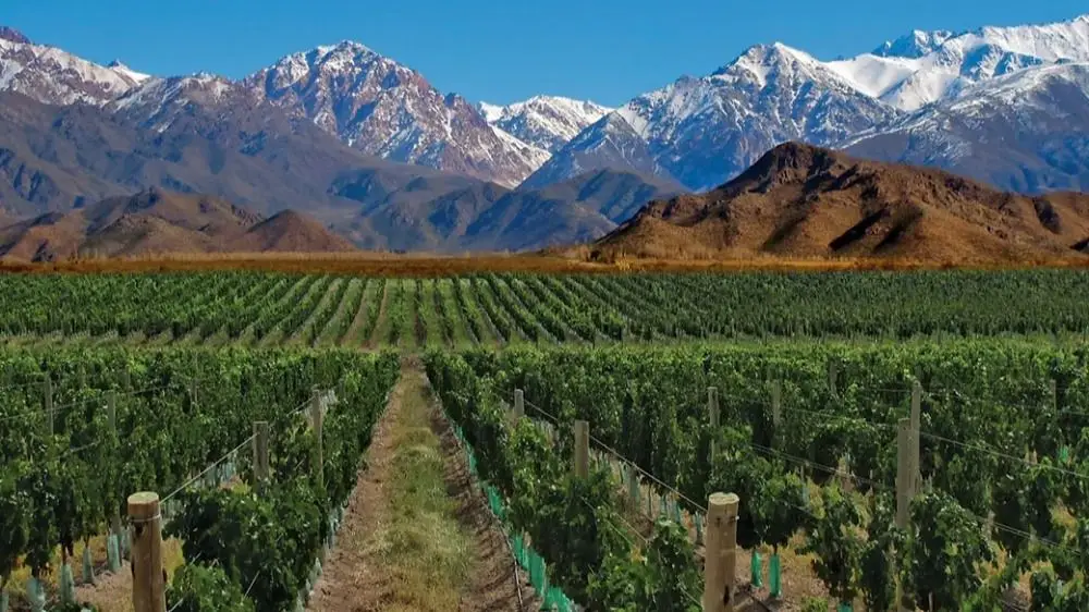 MENDOZA