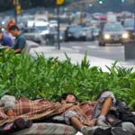 LA CANASTA ALIMENTARIA VOLVIO A SUPERAR LA INFLACION Y COMPLICAN EL RELATO DE LA POBREZA DE MILEI