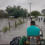 EL NOA BAJO AGUA: LA LOCALIDAD DE SALTA EN LA QUE, EN MENOS DE 3 MESES , YA LLOVIO EL PROMEDIO ANUAL