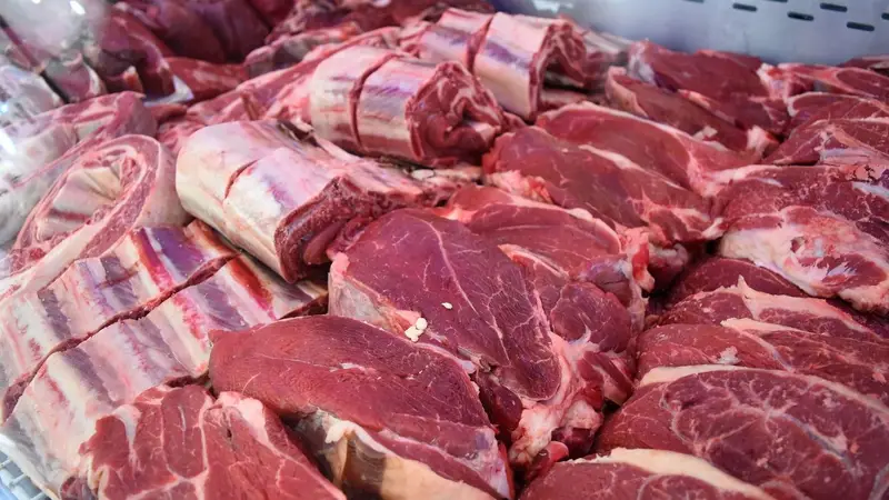 AUMENTO CARNE