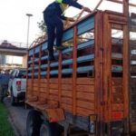 CORRIENTES: EN EL PUENTE MANUEL BELGRANO SECUESTRARON EQUINOS POR FALTA DE DOCUMENTACION