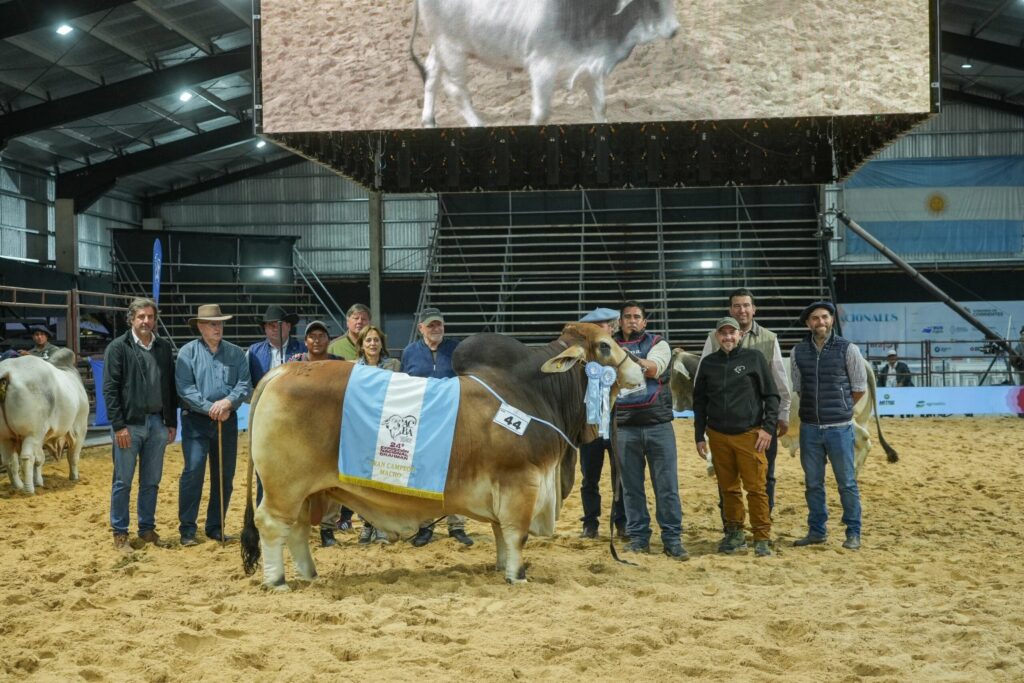 Descargar-foto-Gran-Campeon-Macho-Cabana-Los-Yeyos-1536x1024