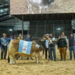 CORRIENTES: «LAS NACIONALES 2026» EL BOOM GANADERO EN LA GENETICA, PAGAN $40 MILLONES POR EL 50% DE UN TORO BRAHMAN