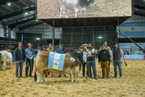 Descargar-foto-Gran-Campeon-Macho-Cabana-Los-Yeyos-1536x1024