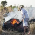 CORRIENTES: LA QUEMA DE PASTIZALES CONTINUA SIENDO UNA PRACTICA COMUN, EN EL PRIMER TRIMESTRE LOS «PARCHES»(AUTORIZADOS O NO) AFECTARON 1% DEL TERRITORIO PROVINCIAL