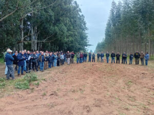 FORESTO INDUSTRIA