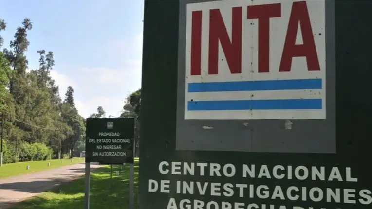 INTITA