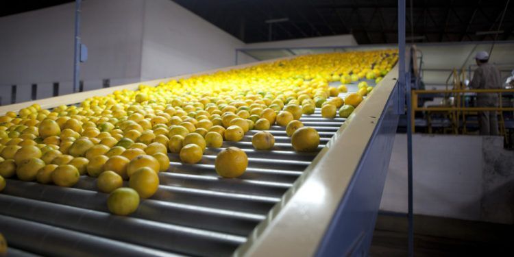 LIMONES