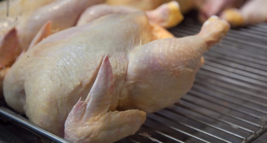 pollos