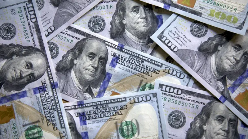 DOLARES