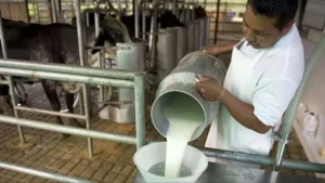 leche-jpg