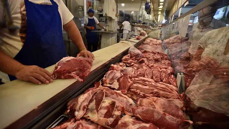 CARNE CAE