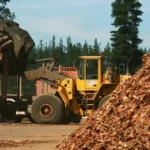 CORRIENTES: LA INDUSTRIA FORESTAL CORRENTINA APUNTO CONTRA LAS POLITICAS DE MILEI, «AJUSTE A LAS PYMES Y NO A LA CASTA»