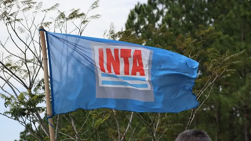 INTA