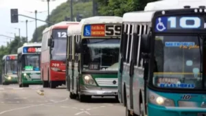 COLECTIVOS