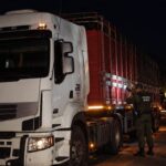 CORRIENTES: MOCORETA, DURA SANCION DE $8 MILLONES A CONSIGNATARIA POR GRAVES IRREGULARIDADES EN TRANSPORTE DE GANADO