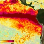 ¿QUE PASA CON LAS LLUVIAS?: POR QUE EL NIÑO YA ESTA INSTALADO, PERO NO IMPACTA EN LA ARGENTINA